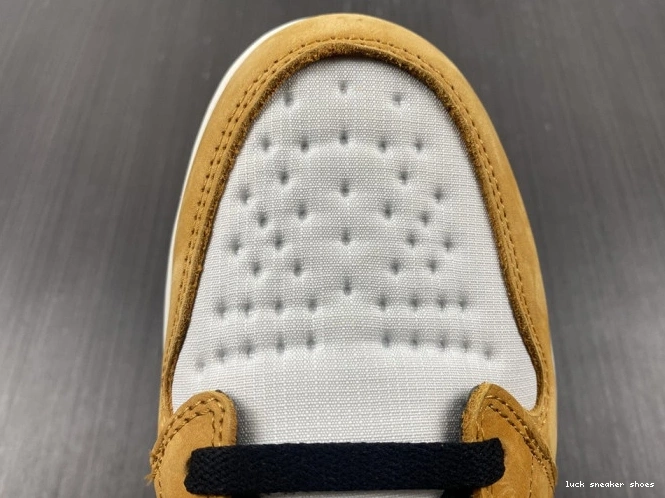 Reps LUCY 1 High Element Jordan Gore-Tex Curry DB2889-700 Light 0823